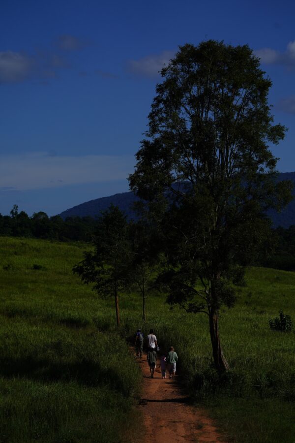 Khao Yai National Park