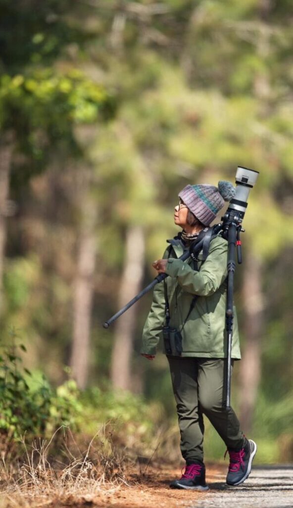 1 Day Birds Watching